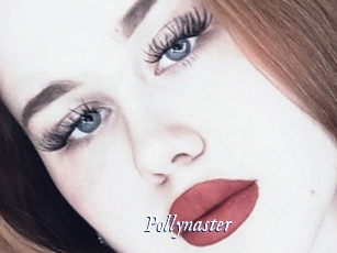 Pollynaster