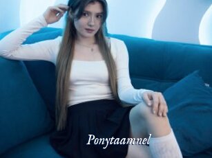 Ponytaamnel