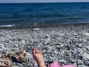 Porcona