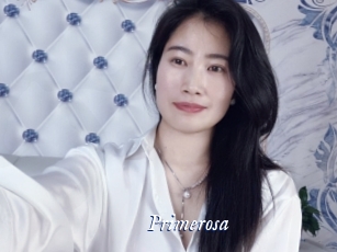 primerosa Cam 5