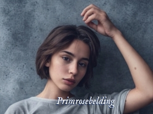 primrosebelding Cam 5