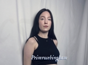 primrosebingham Cam 5