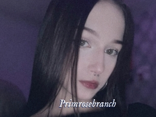Primrosebranch