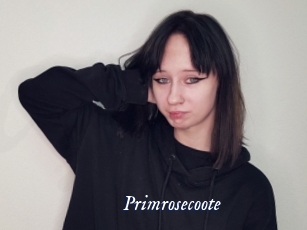 Primrosecoote