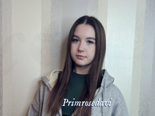 Primrosedavi