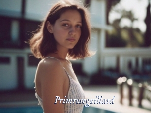 Primrosegaillard