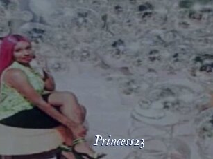 princess23 Cam 5