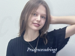Prudencecodringt