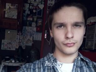 Pulseboy