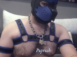 Puprush