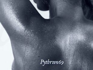 Pytbrwn69