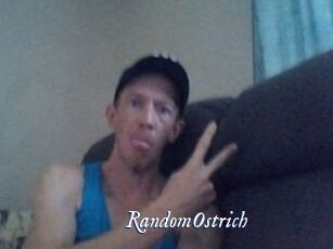 RandomOstrich