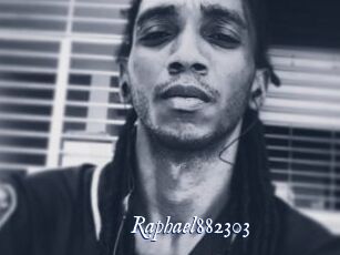 Raphael882303