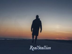 RealStallion