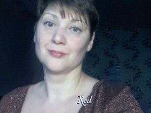 Red_Bird