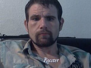 Rocster