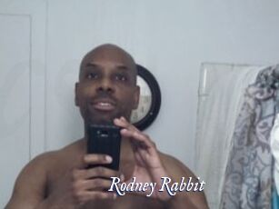 Rodney_Rabbit