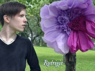 Rodrigie