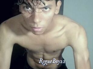 RogueBoy22