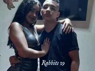 Rabbits_19