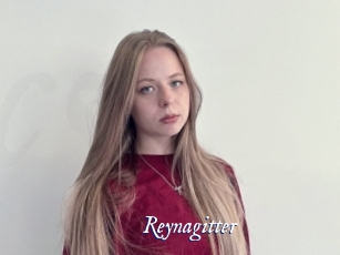 Reynagitter