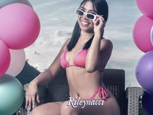 Rileynacci