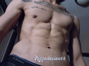 Rippedasian66