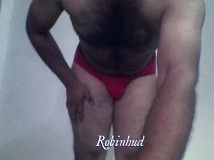 Robinhud