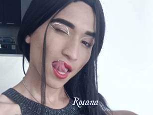 rosana Cam 5