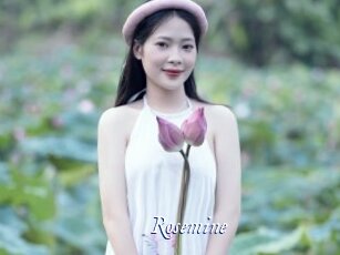 rosemine Cam 5