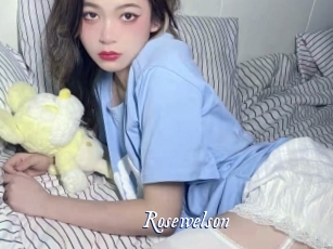 rosewelson Cam 5