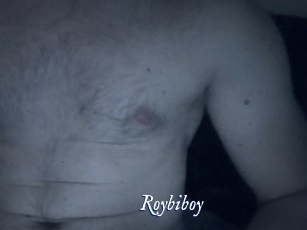 Roybiboy