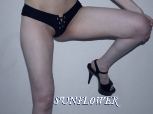 SUNFLOWER Cam 5