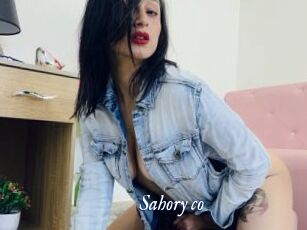 Sahory_co