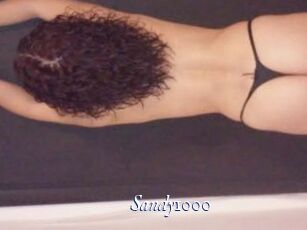 Sandy1000