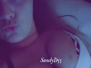SandyD55