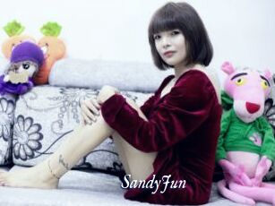 SandyJun Cam 5