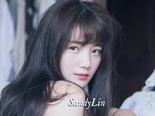 SandyLin Cam 5