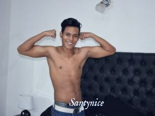 Santynice