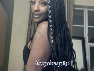 Sassyeboney3838