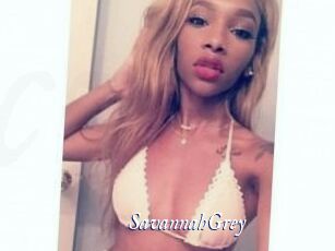 Savannah_Grey
