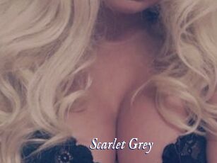 Scarlet_Grey Cam 5