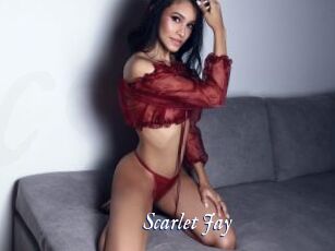 Scarlet_Jay