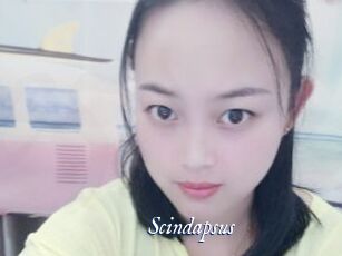 Scindapsus