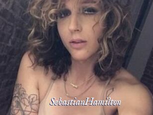Sebastian_Hamilton Cam 5
