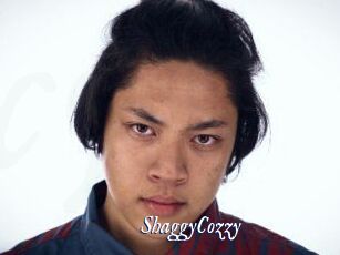 ShaggyCozzy