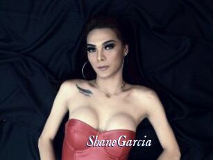 ShaneGarcia Cam 5