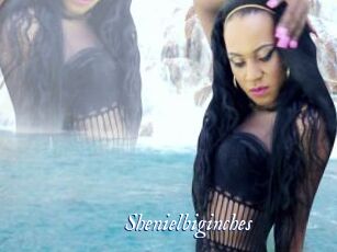 Shenielbiginches