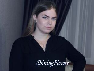 ShiningFlower Cam 5