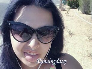 Shinningdaisy